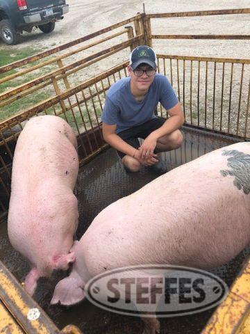Jake Jankowski, Market Swine,
